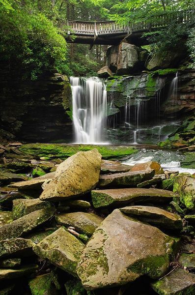 First or Upper Ekalaka Falls-Blackwater Falls State Park-West Virginia